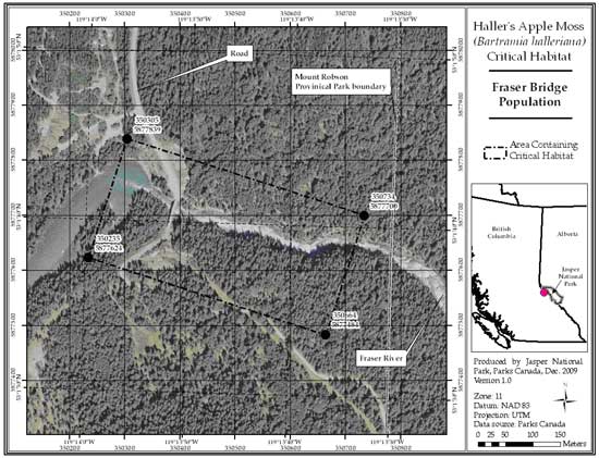 Figure 5: Location of critical habitat at Fraser River Bridge, British Columbia (parcel 689_4). (See long description below)