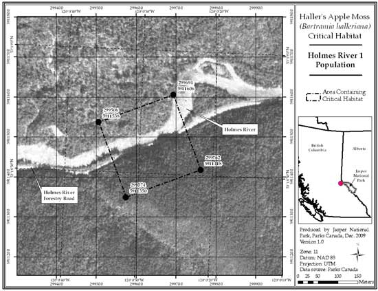 Figure 6: Location of critical habitat at Holmes River 1, British Columbia (parcel 689_5). (See long description below)