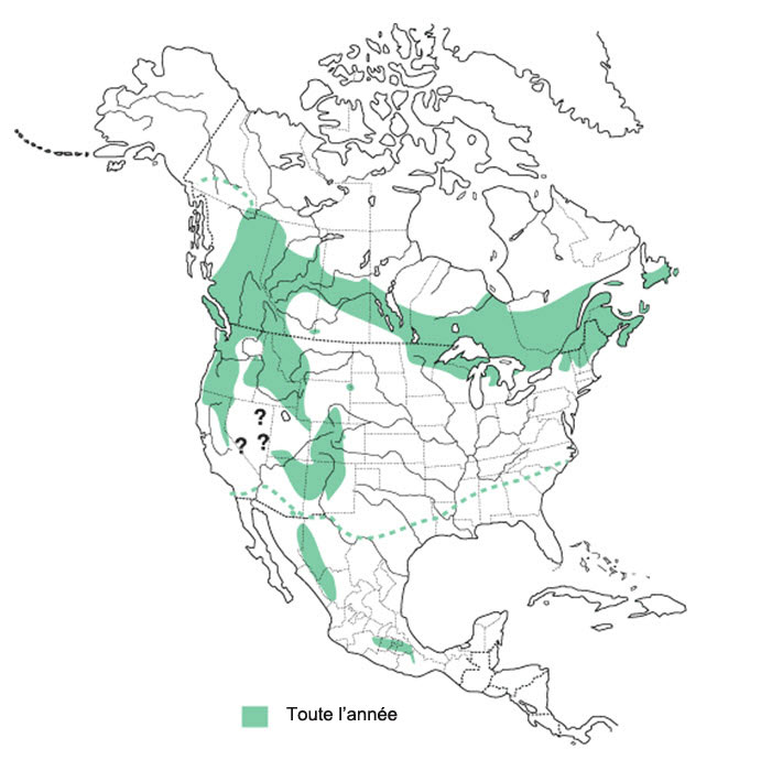 Répartition du Gros-bec errant en Amérique du Nord.