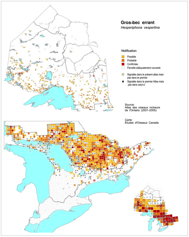 Répartition du Gros-bec errant en Ontario durant la période de 2001 à 2005