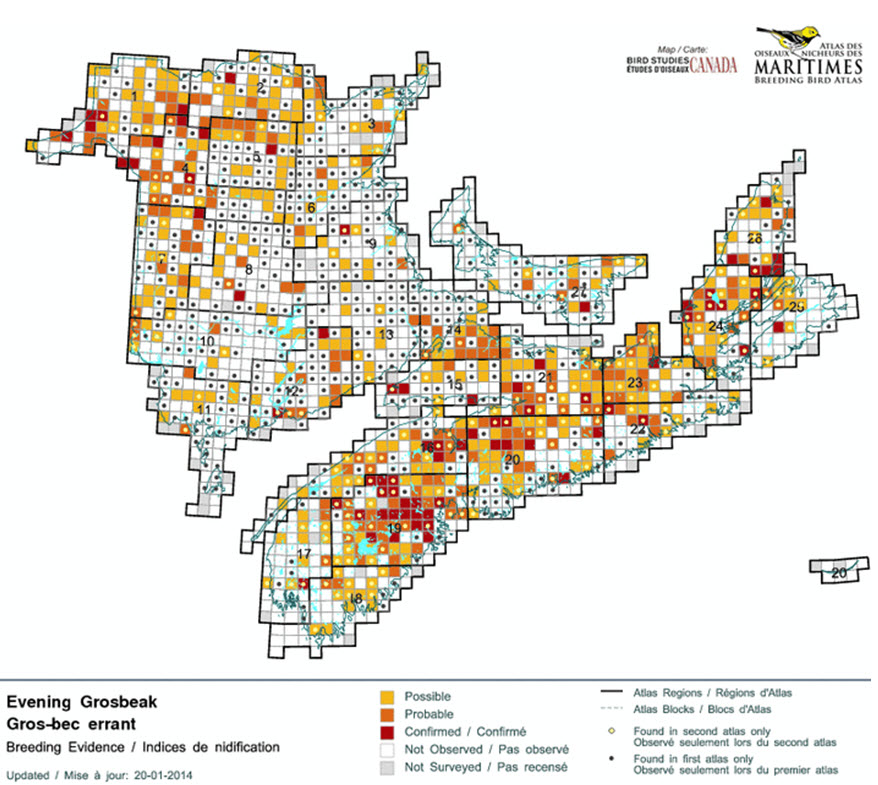 Répartition du Gros-bec errant dans les provinces maritimes durant la période de 2006 à 2010.