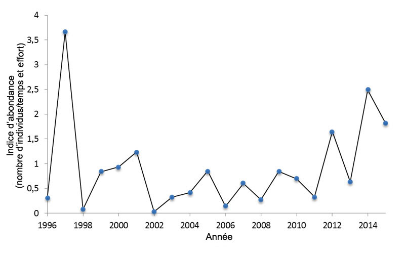 Tendance dans l’indice d’abondance (nombre total d’individus/temps et effort) de Gros-becs errants migrateurs