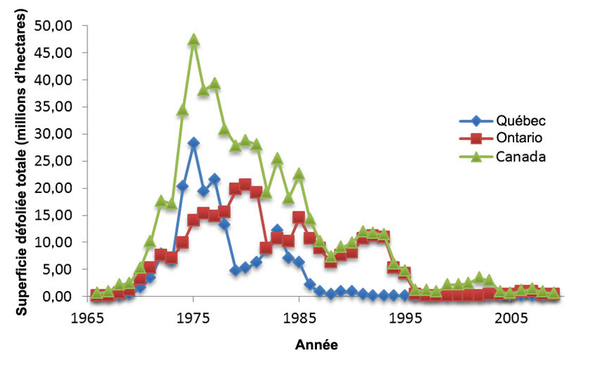 Superficie de forêts défoliées par la tordeuse des bourgeons de l’épinette en Ontario, au Québec et au Canada
