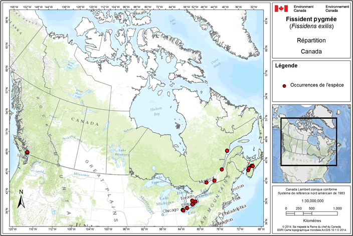 Répartition canadienne du fissident pygmée