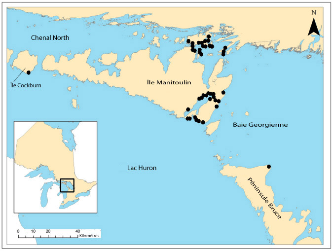 La description longue de la figure 1 fournissait ci-dessous