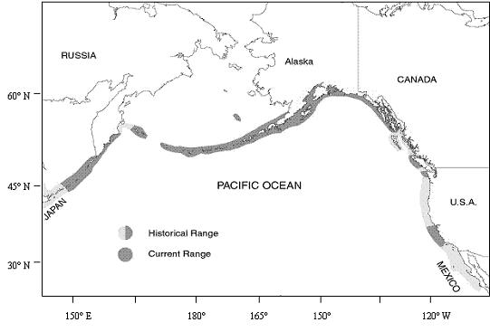 Figure 2. Historical and current global range of all three subspecies of sea otters.