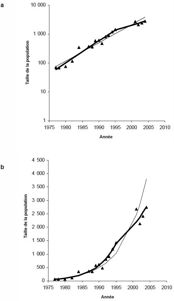 Figure 4. Tendance de la population de loutres de mer sur l’île de Vancouver.