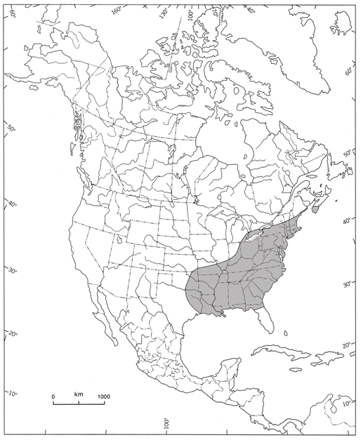 Figure 2. Global range of round-leaved greenbrier, based on Holmes (2002).