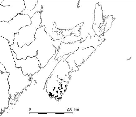 Figure 3.  Distributional area of round-leaved greenbrier in Nova Scotia.