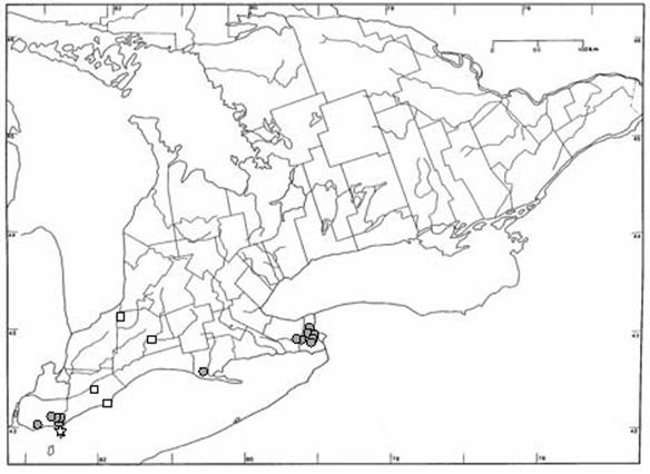 Figure 4. Known and reported occurrences of round-leaved greenbrier in Ontario.