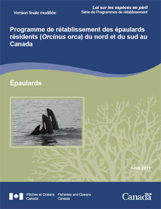 Programme de rétablissement des épaulards résidents (Orcinus orca) du nord et du sud au Canada - août 2011