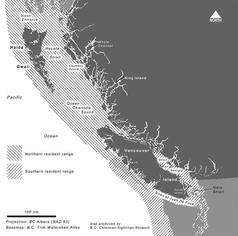 The Coast of British Columbia and northwest Washington State showing the general ranges of northern and southern resident killer whales.