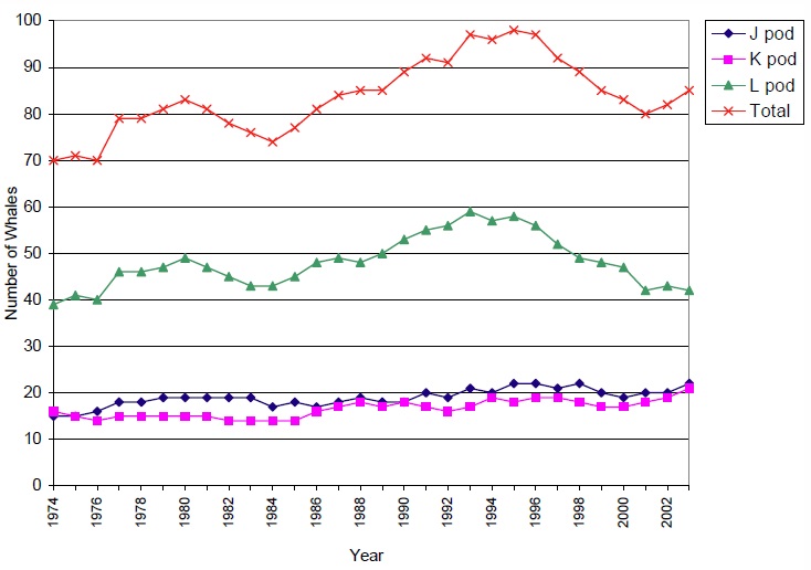 Population Size and Trends for southern resident killer whales from 1974-2003.