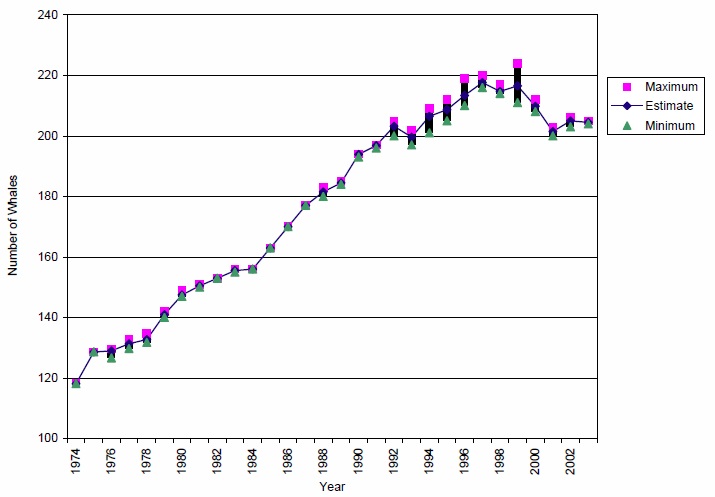 Population size and trends for northern resident killer whales from 1974 to 2003.