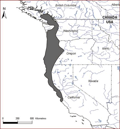 Map showing the global distribution of the Threaded Vertigo in western North America.