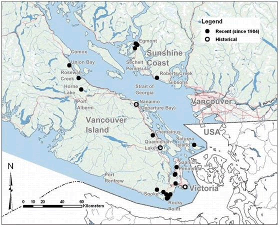 Map showing the global distribution of the Threaded Vertigo in western North America.