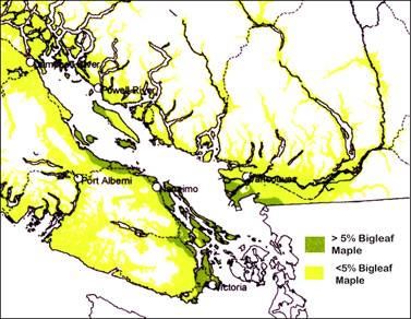 Map shows the distribution of Bigleaf Maple