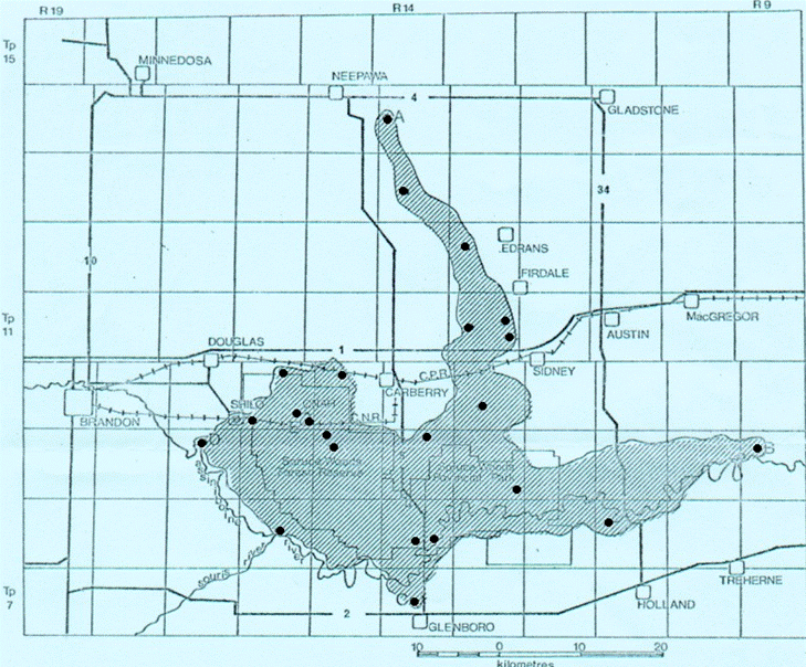Figure 4. Prairie Skink range in Manitoba. Hatched area is the extent of the suitable habitat for skinks