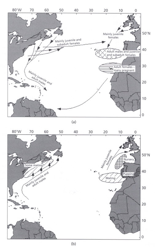 Two map panels showing the spatial substructure (see long description below)