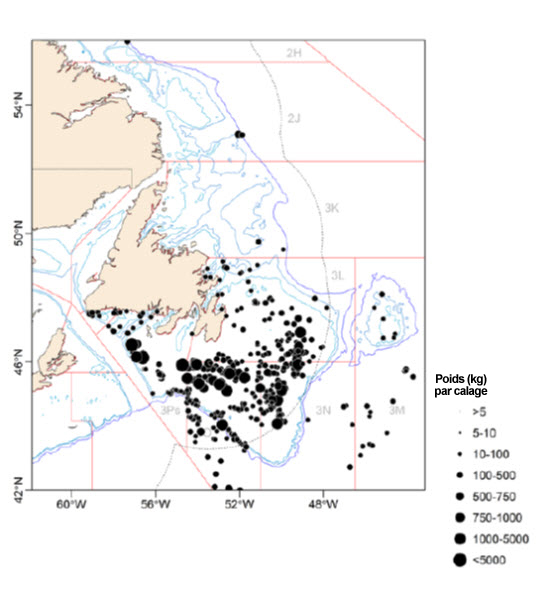 Carte montrant l’emplacement des prises de requins bleus (voir longue description ci-dessous)