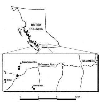 Distribution (¡ñ)  of Polystichum scopulinum in British Columbia