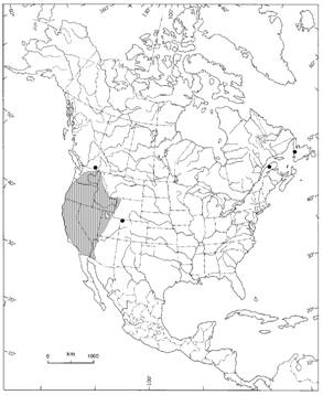 North American distribution of Polystichum scopulinum adapted from Wagner (1993)