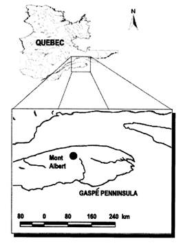 Distribution (¡ñ)  of Polystichum scopulinum in Quebec