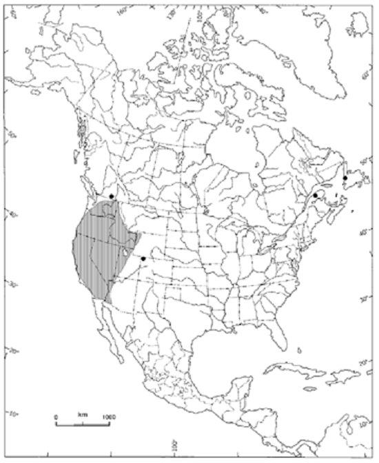 Répartition nord-américaine du Polystichum scopulinum, établie d’après Wagner (1993)