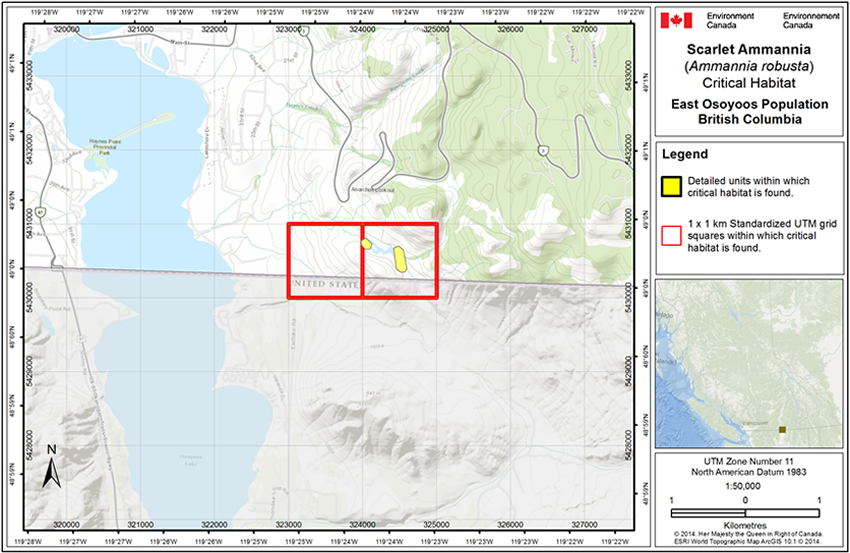 Map of critical habitat for the East Osoyoos Population (See long description below)