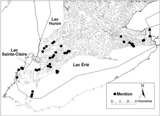 Figure 5. Répartition historique du Quadrula quadrula en Ontario d’après les mentions et les recensements antérieurs à 1995 de la base de données sur les unionidés du bassin inférieur des Grands Lacs