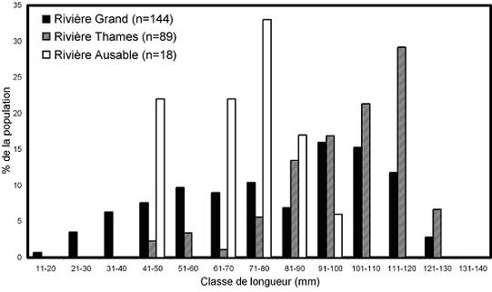 Figure 9. Fréquence des tailles de Quadrula quadrula vivants prélevés dans les rivières Grand, Thames et Ausable, en Ontario, de 1997 à 2004