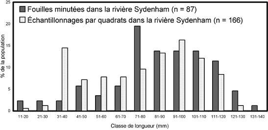 Figure 10.  Fréquence des tailles de Quadrula quadrula vivants prélevés au cours de fouilles minutées et d’échantillonnages par quadrats dans la rivière Sydenham, en Ontario, de 1997 à 2003