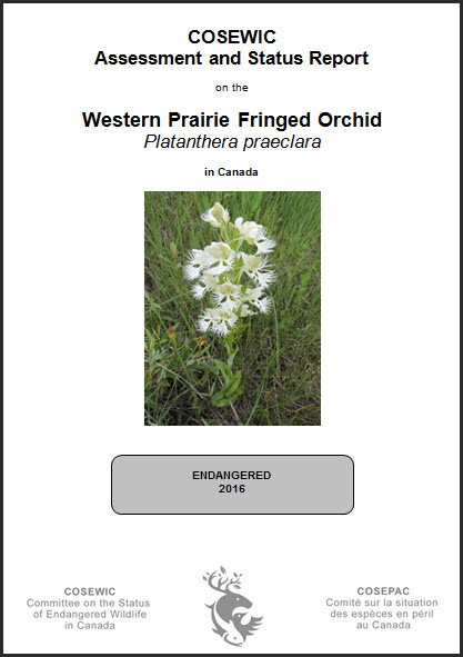 COSEWIC Assessment and Status Report on the Blanding’s Turtle