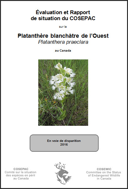 Évaluation et Rapport de situation du COSEPAC sur le Platanthère blanchâtre de l’Ouest