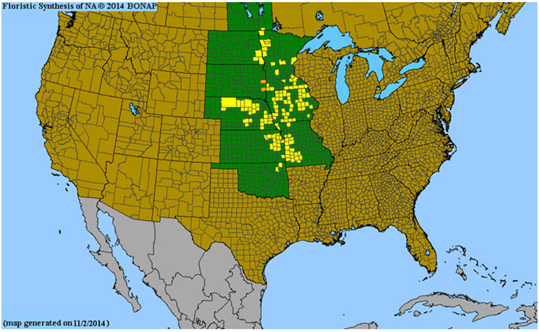 Global distribution of Western Prairie Fringed Orchid based on extant subpopulations.