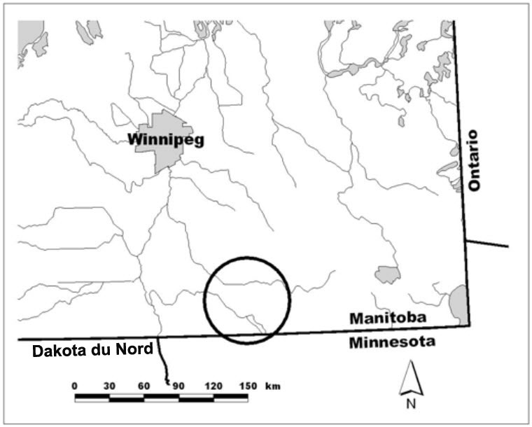 Emplacement  de la population de platanthère blanchâtre de l’Ouest au Manitoba