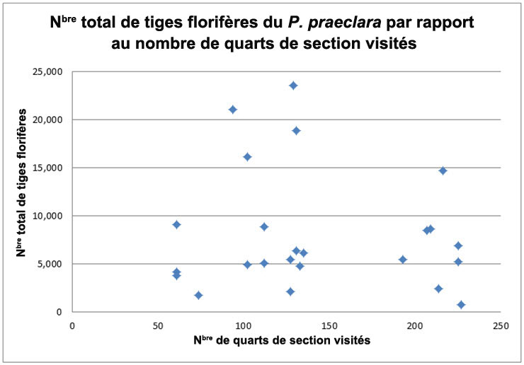 Nombre de tiges  florifères de la platanthère blanchâtre de l’Ouest dans la région à proximité  de Vita, au Manitoba