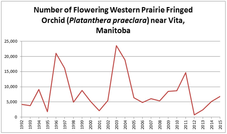 Number of flowering plants of Western Prairie Fringed Orchid in the region near Vita