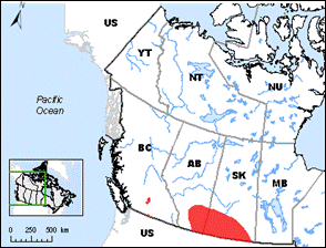 Burrowing Owl Range Map (See long description below)