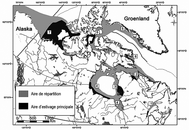 Emplacement géographique des populations canadiennes de bélugas