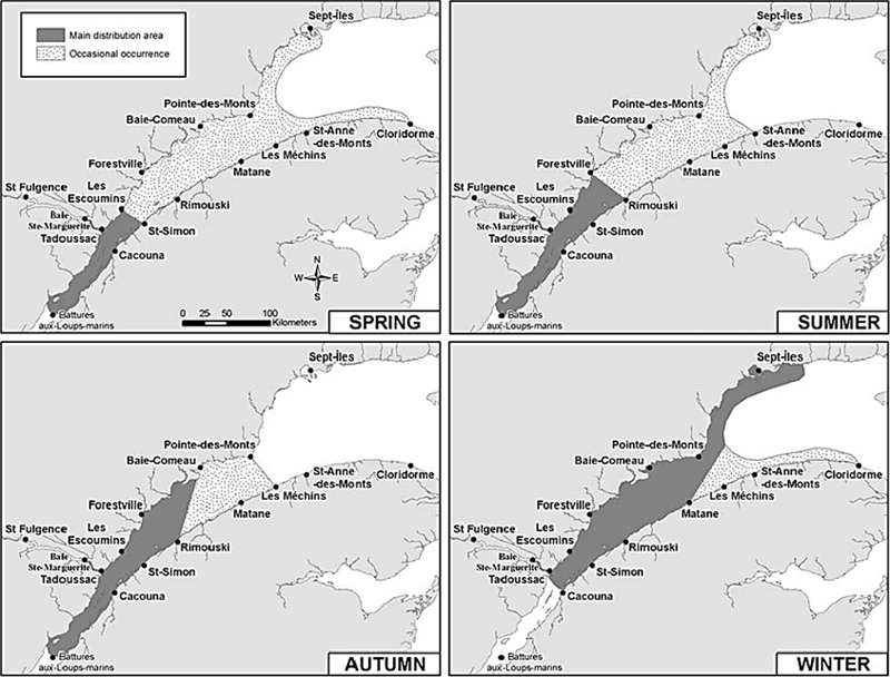 Current seasonal area of occurrence for the SLE Beluga