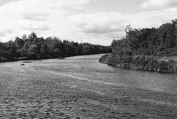 Figure 5. Bras ouest de la Mattawamkeag, à 1,5 km au sud d’Island Falls, comté d’Aroostook (Maine), 9 août 1999.