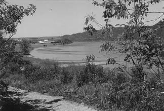 Figure 6. La Saint-Jean à McKinley Ferry, dans le comté de York (Nouveau-Brunswick), en 1999. En haut à gauche, on peut voir la structure du barrage Mactaquac, à environ 4 km en amont.