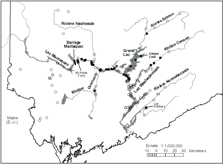 Figure 3. Répartition du Lampsilis cariosa dans le bassin du bas Saint-Jean, au Nouveau-Brunswick, avec tous les sites fouillés en 2001-2002. Les points noirs indiquent la présence de L. cariosa, les cercles vides l’absence de L. cariosa et les étoiles une présence passée (carte fondée sur Sabine et al., sous presse).