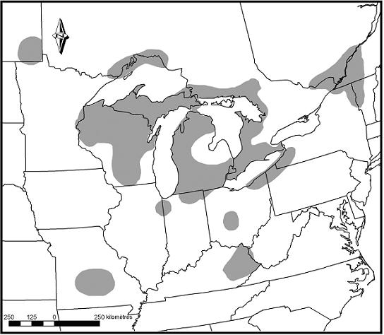 Figure 3. Répartition nord-américaine de la lamproie du Nord (fondée sur Page et Burr, 1991).