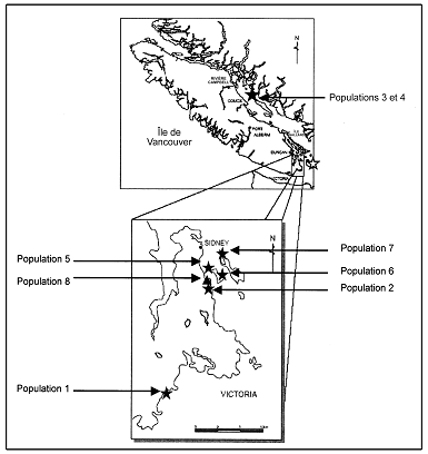 Figure 3. Aire de répartition canadienne du Camissonia contorta. Les populations existantes sont représentées par des étoiles noires, la population disparue par le triangle noir et la population la plus proche aux États-Unis par une étoile blanche. À l’échelle de cette carte, les populations 3 et 4 des îles Gulf du nord ne peuvent être représentées par des symboles distincts.