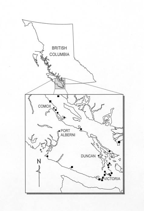 Figure 4. Search eEffort for Camissonia contorta.