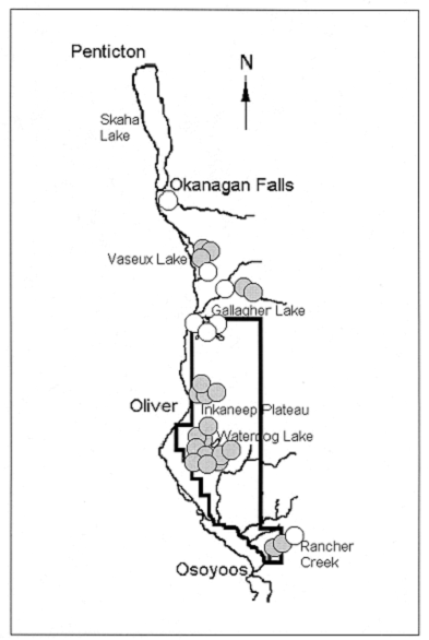 Locations of recorded occurences of Antrozous pallidus in Canada