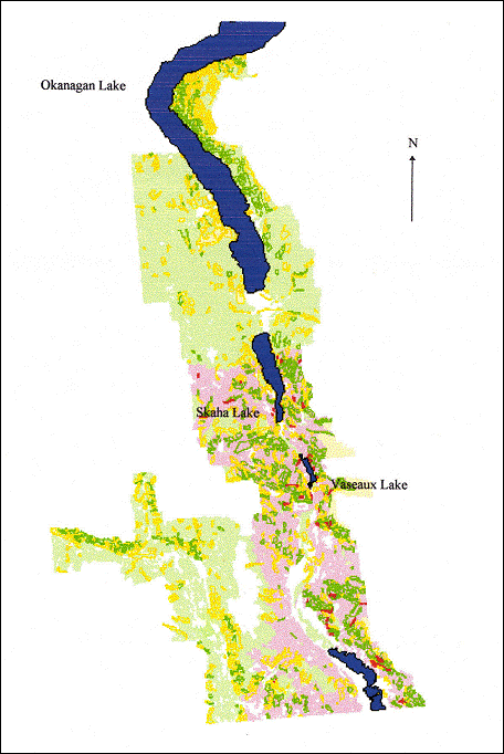 Habitat suitability map for Antrozous pallidus in the south Okanagan