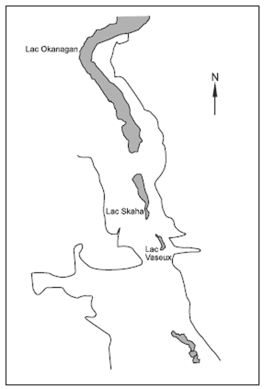 Carte de la qualité de l’habitat de l’Antrozous pallidus dans le Sud de la vallée de l’Okanagan